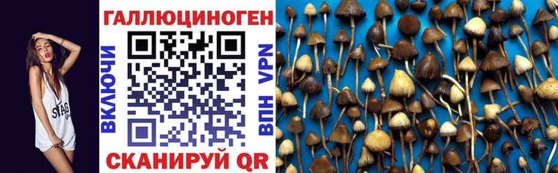 Галлюциногенные грибы Cubensis Купить Арзамас